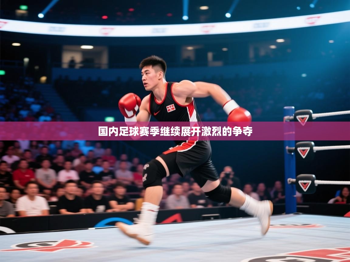 国内足球赛季继续展开激烈的争夺  第1张