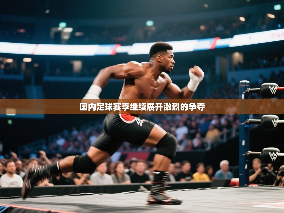 国内足球赛季继续展开激烈的争夺  第2张